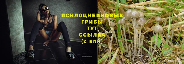 МДПВ Абаза