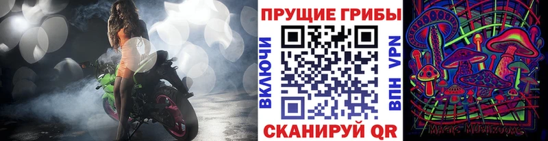 Псилоцибиновые грибы Magic Shrooms  Правдинск 